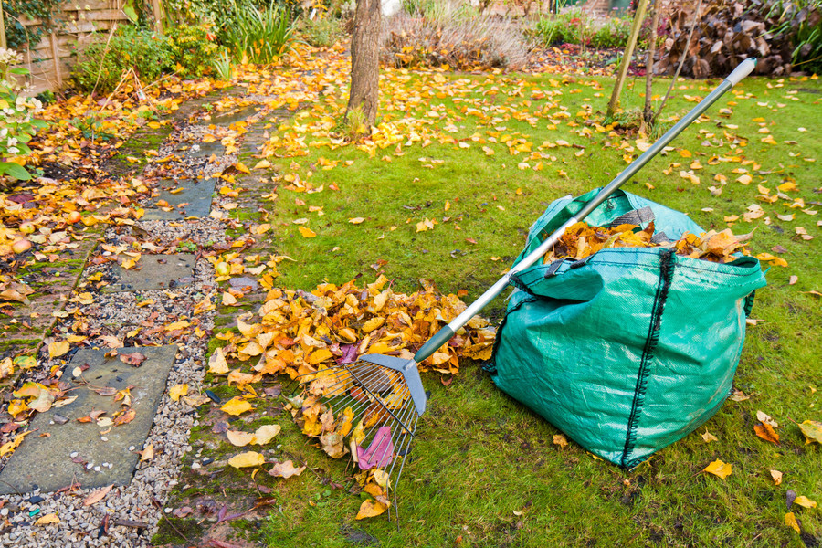 Why Garden-clearance-services Are So Popular?